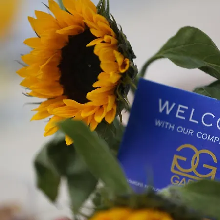 公寓式酒店 贾碧思别墅公寓 4*